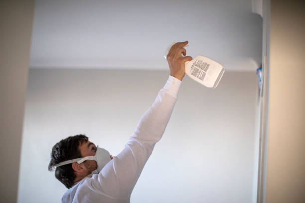 Best Attic Mold Remediation in San Jose, CA