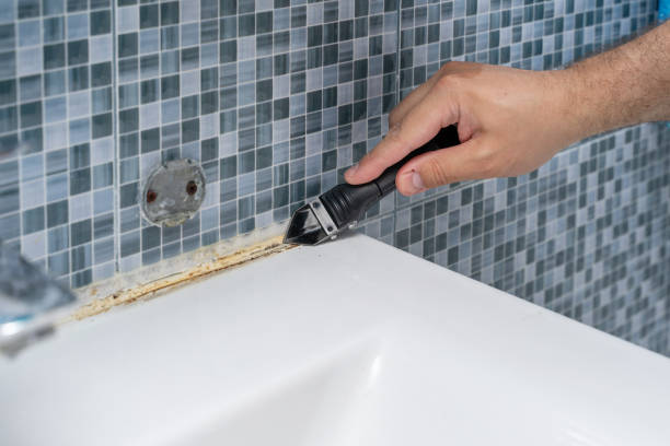 Best Mold Testing and Inspection Services in San Jose, CA